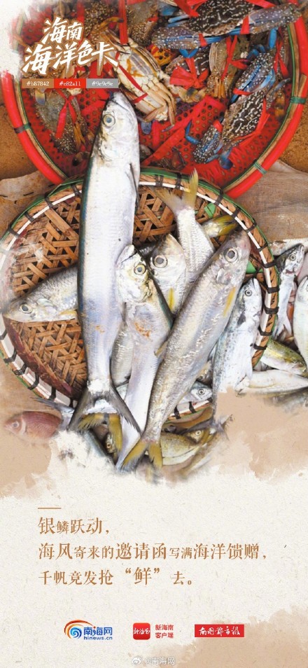 海南海洋“多巴胺配色”,每一帧都是屏保! 海南海洋“多巴胺配色”,每一帧都是屏保!