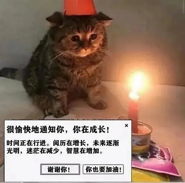 “我的学校，谢谢你给我打的五十块钱，虽然不知道是为什么……”