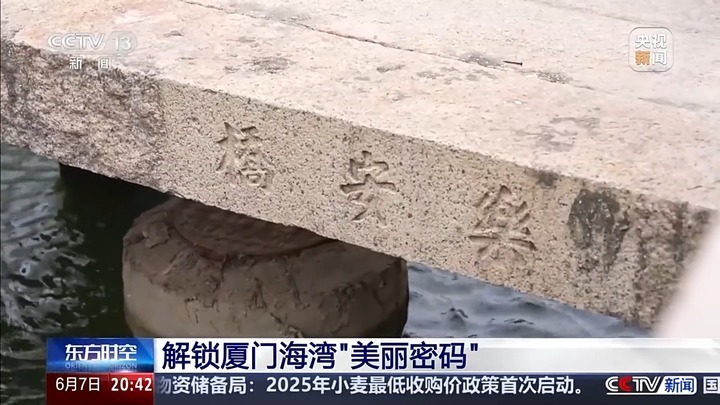 保护潮起潮落间的美丽!看,这是建设海湾的“硬核”实力 保护潮起潮落间的美丽!看,这是建设海湾的“硬核”实力