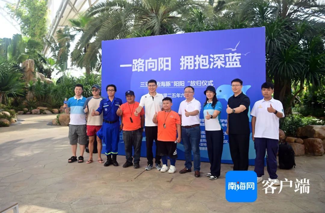 今天,“阳阳”回家! 今天,“阳阳”回家!