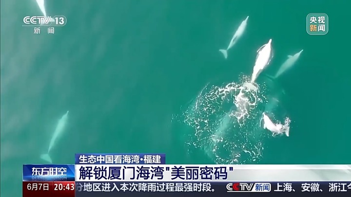 保护潮起潮落间的美丽!看,这是建设海湾的“硬核”实力 保护潮起潮落间的美丽!看,这是建设海湾的“硬核”实力