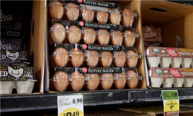 多人感染沙门氏菌 美国超170万枚鸡蛋被召回 多人感染沙门氏菌 美国超170万枚鸡蛋被召回