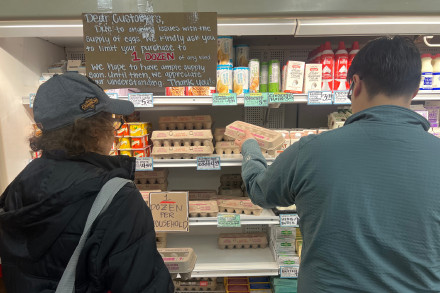 美国七个州出现鸡蛋传播沙门氏菌事件 美国七个州出现鸡蛋传播沙门氏菌事件