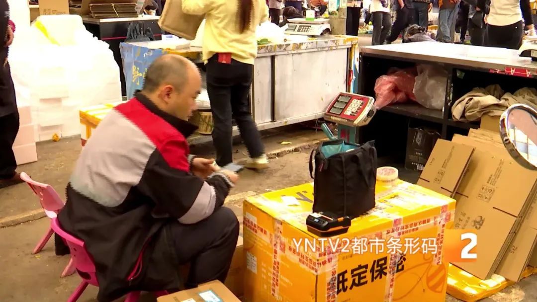 才开始，单日寄件已超2000单！云南野生菌火到全国各地……