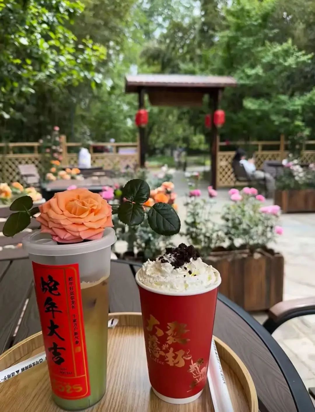 银发旅游，在路上“再青春”