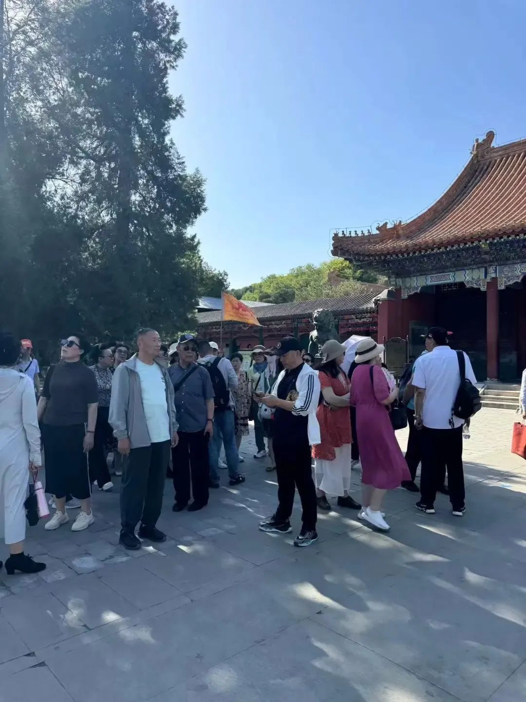 银发旅游，在路上“再青春”