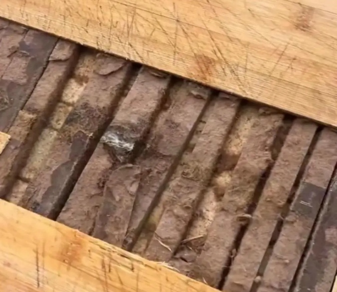 100℃高温杀不死黄曲霉素！女子劈开家中菜板，里面触目惊心！赶紧自查