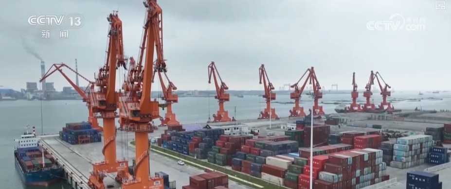 制度完善→设施升级→系统修复,结硕果!多维度绘就海洋生态保护美丽画卷 制度完善→设施升级→系统修复,结硕果!多维度绘就海洋生态保护美丽画卷