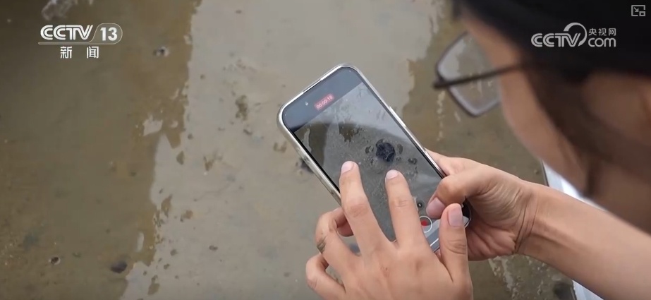 制度完善→设施升级→系统修复,结硕果!多维度绘就海洋生态保护美丽画卷 制度完善→设施升级→系统修复,结硕果!多维度绘就海洋生态保护美丽画卷