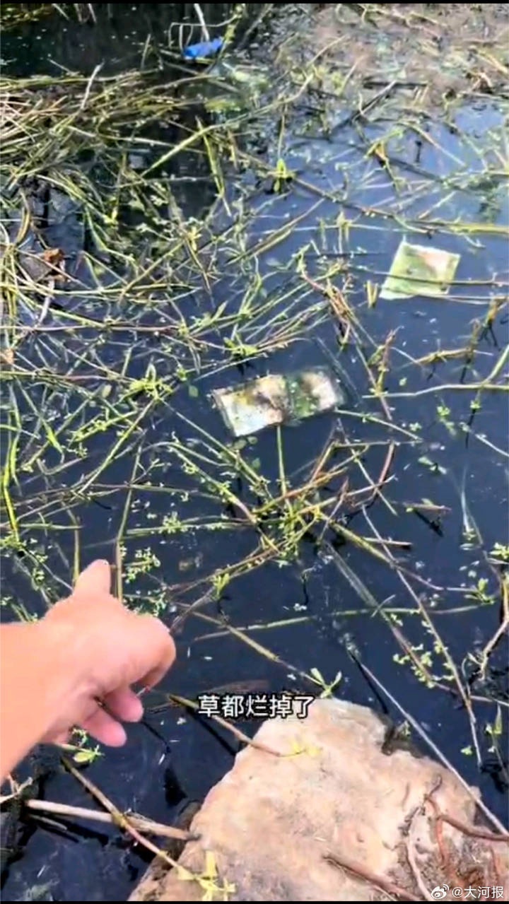 官方通报“安徽一地被曝水污染致上万亩水稻无水可种” 官方通报“安徽一地被曝水污染致上万亩水稻无水可种”
