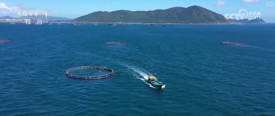 海洋生态保护向“智”向“新” 耕牧“蓝色粮仓”奏响向海图强海洋牧歌