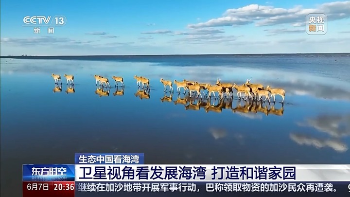 保护潮起潮落间的美丽!看,这是建设海湾的“硬核”实力 保护潮起潮落间的美丽!看,这是建设海湾的“硬核”实力