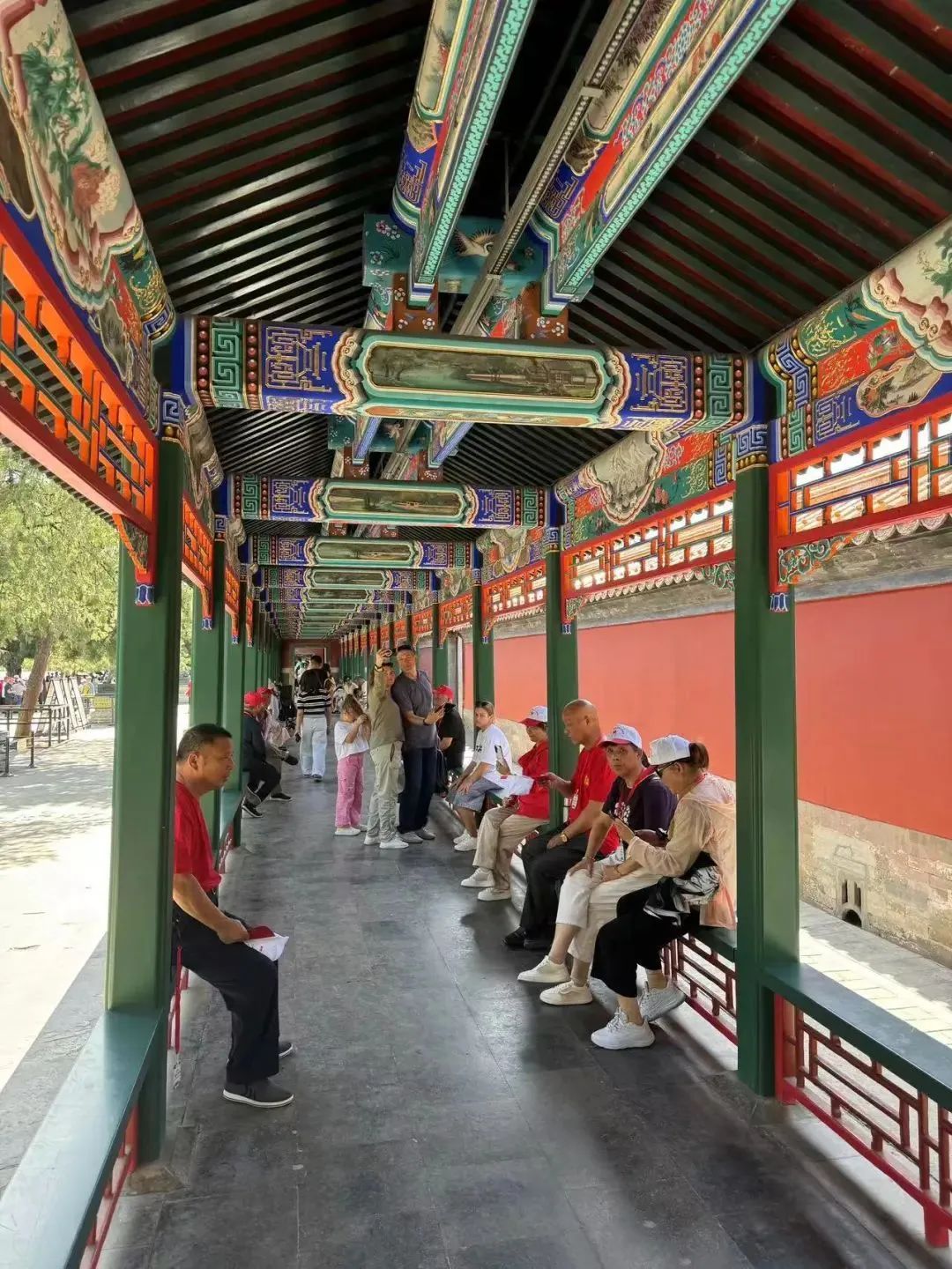 银发旅游，在路上“再青春”