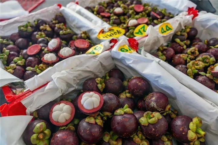 榴莲便宜了,原来与这条铁路有关! 榴莲便宜了,原来与这条铁路有关!