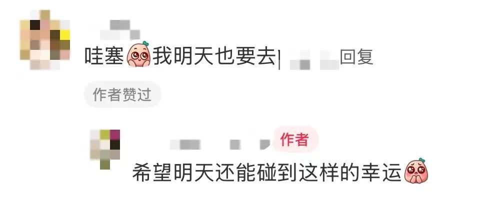 “我的学校，谢谢你给我打的五十块钱，虽然不知道是为什么……”