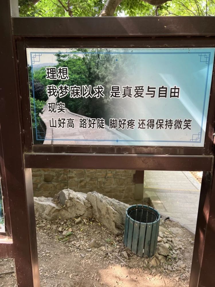 青岛知名景区指示牌全网爆火!网友:山上的笋被你夺完了!官方:没错,是我们干的 青岛知名景区指示牌全网爆火!网友:山上的笋被你夺完了!官方:没错,是我们干的