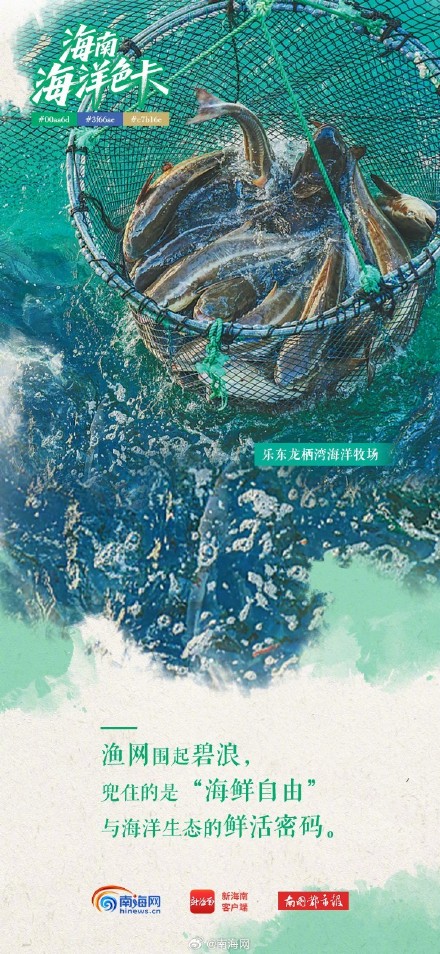 海南海洋“多巴胺配色”,每一帧都是屏保! 海南海洋“多巴胺配色”,每一帧都是屏保!