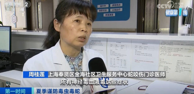 上海医院接诊蛇咬伤事件增多,如何辨别是否为毒蛇所咬 上海医院接诊蛇咬伤事件增多,如何辨别是否为毒蛇所咬