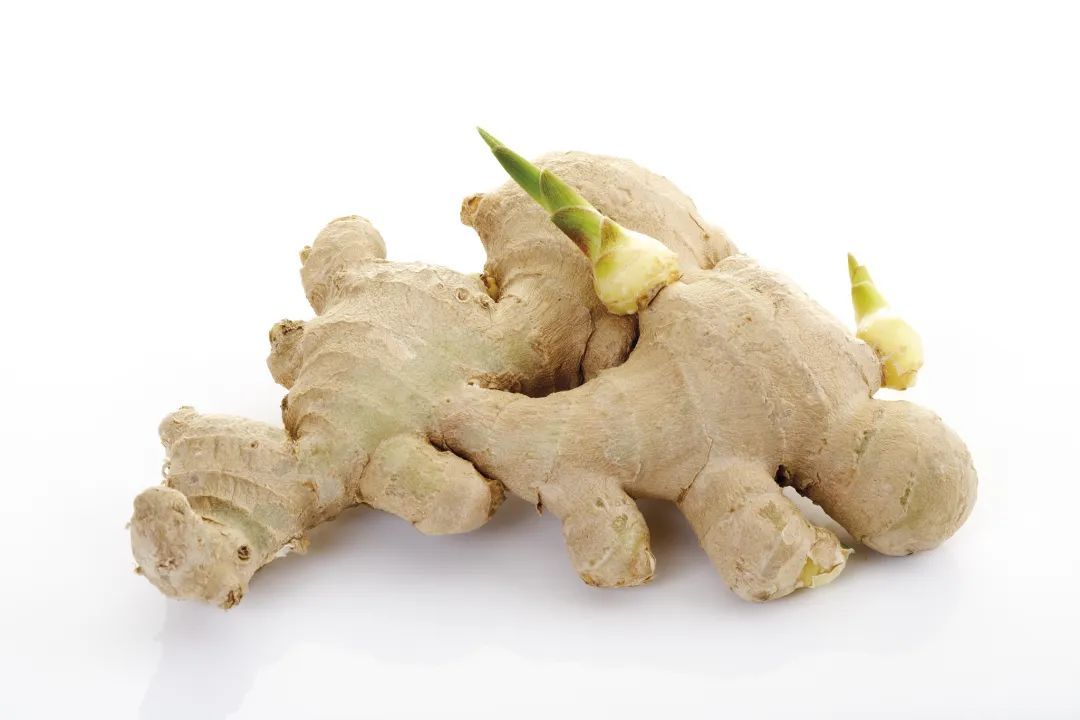 夏天吃好姜,让你整年都受益~但这种姜千万别吃,果断扔掉 夏天吃好姜,让你整年都受益~但这种姜千万别吃,果断扔掉