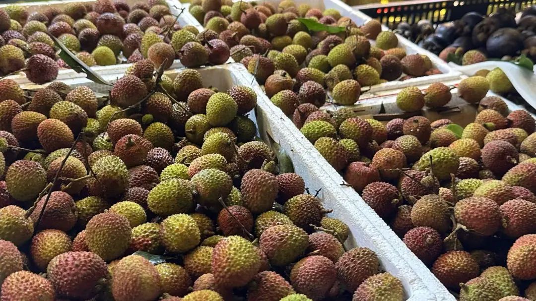 连吃多天!台州28岁女子突然确诊!医生提醒:别贪多 连吃多天!台州28岁女子突然确诊!医生提醒:别贪多