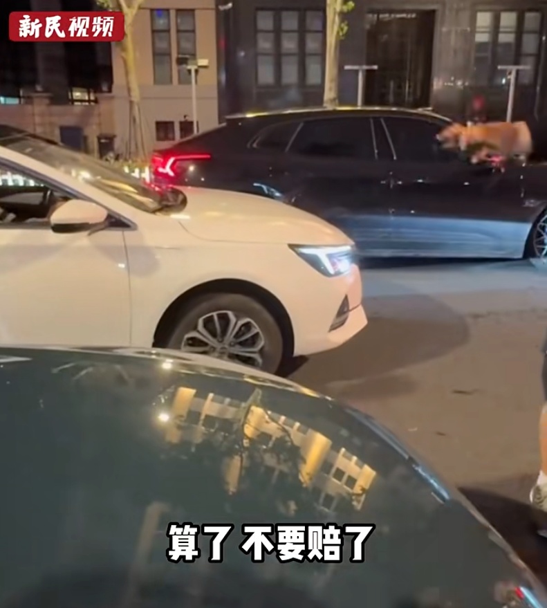 事发外滩！一特斯拉被追尾，车主脱口而出4个字，肇事者愣住了…