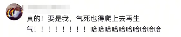 青岛知名景区指示牌全网爆火!网友:山上的笋被你夺完了!官方:没错,是我们干的 青岛知名景区指示牌全网爆火!网友:山上的笋被你夺完了!官方:没错,是我们干的