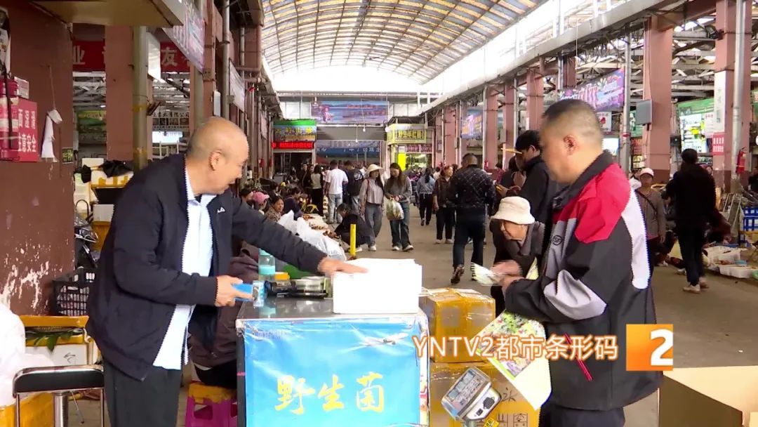 才开始，单日寄件已超2000单！云南野生菌火到全国各地……