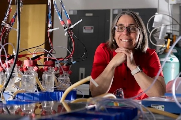 微生物生存奇招：细菌竟能靠“放电”进行呼吸？