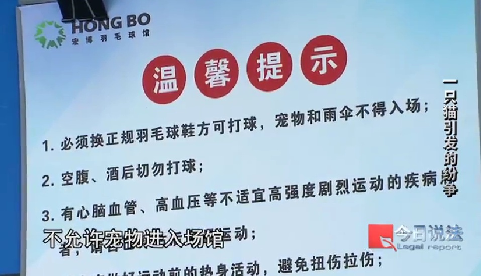 打球时踩流浪猫摔倒致十级伤残,投喂者被判赔从24万到4.8万 打球时踩流浪猫摔倒致十级伤残,投喂者被判赔从24万到4.8万