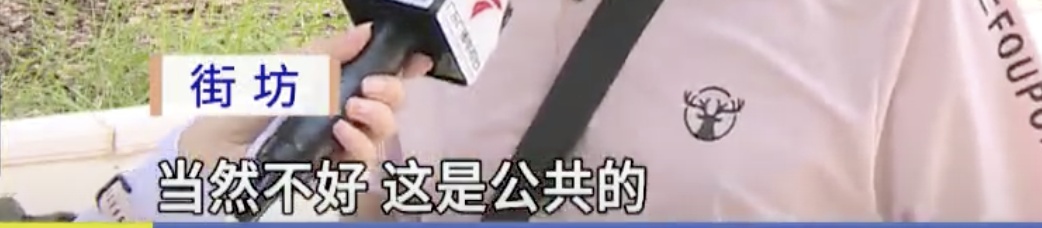 广州一河涌边荔枝树果实被采摘,提醒:不宜食用! 广州一河涌边荔枝树果实被采摘,提醒:不宜食用!