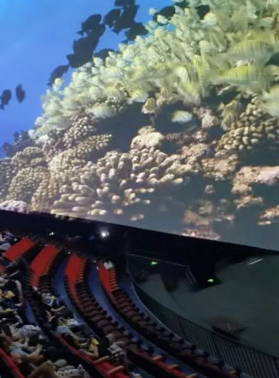 世界海洋日:开启从深海到极地的探秘之旅 世界海洋日:开启从深海到极地的探秘之旅