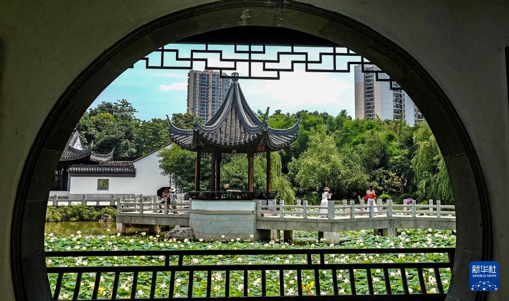 花“漾”夏日 花“漾”夏日