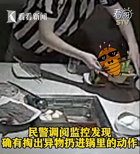 上海一男子四处抓蟑螂只为吃霸王餐