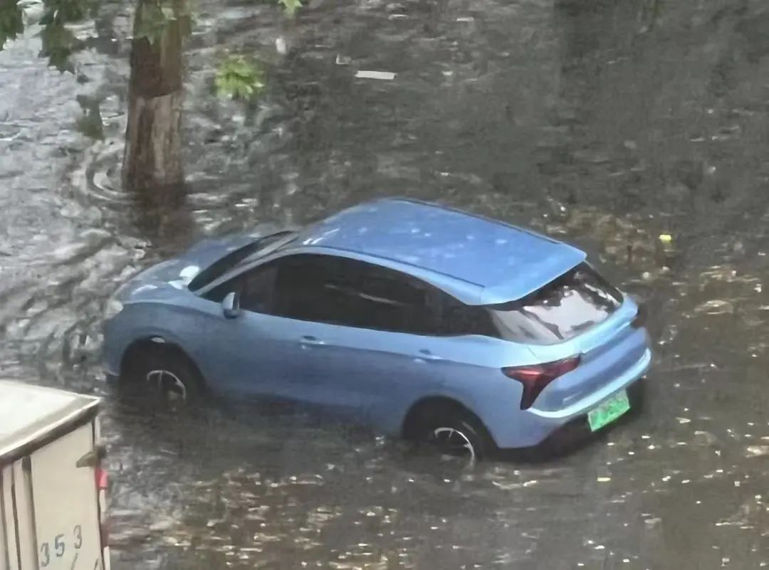 2025年5月“科学”流言榜（第135期）