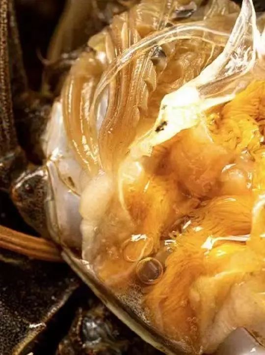 “六月黄”上市了!超小只的可按斤买 “六月黄”上市了!超小只的可按斤买