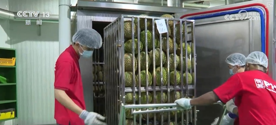 冷链燃动经济“热”力 “中央厨房+食材冷链配送”新业态、新模式加速生长 冷链燃动经济“热”力 “中央厨房+食材冷链配送”新业态、新模式加速生长