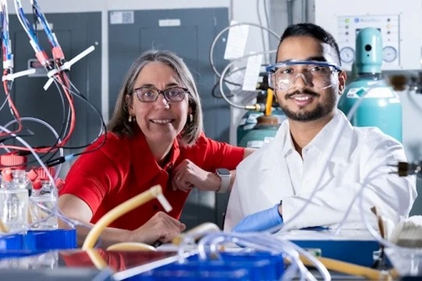 微生物生存奇招：细菌竟能靠“放电”进行呼吸？