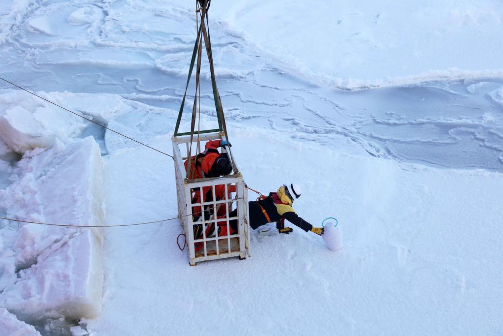 世界海洋日,“雪龙2”号带来极地海洋新故事 世界海洋日,“雪龙2”号带来极地海洋新故事