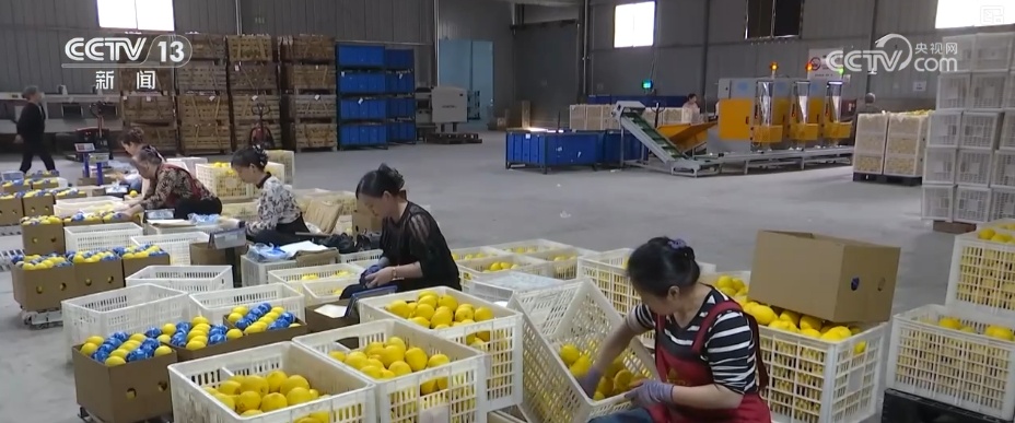 冷链燃动经济“热”力 “中央厨房+食材冷链配送”新业态、新模式加速生长 冷链燃动经济“热”力 “中央厨房+食材冷链配送”新业态、新模式加速生长