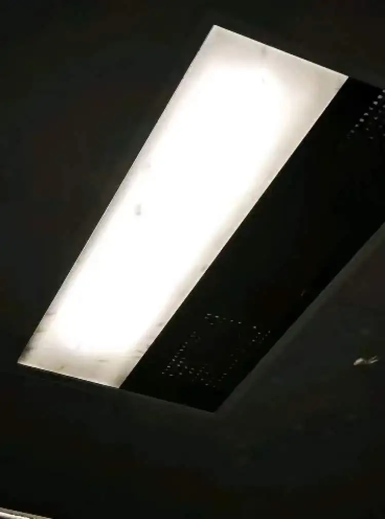 上海市民直呼可怕：马路上到处都是，门窗紧闭也不管用！入梅后大爆发