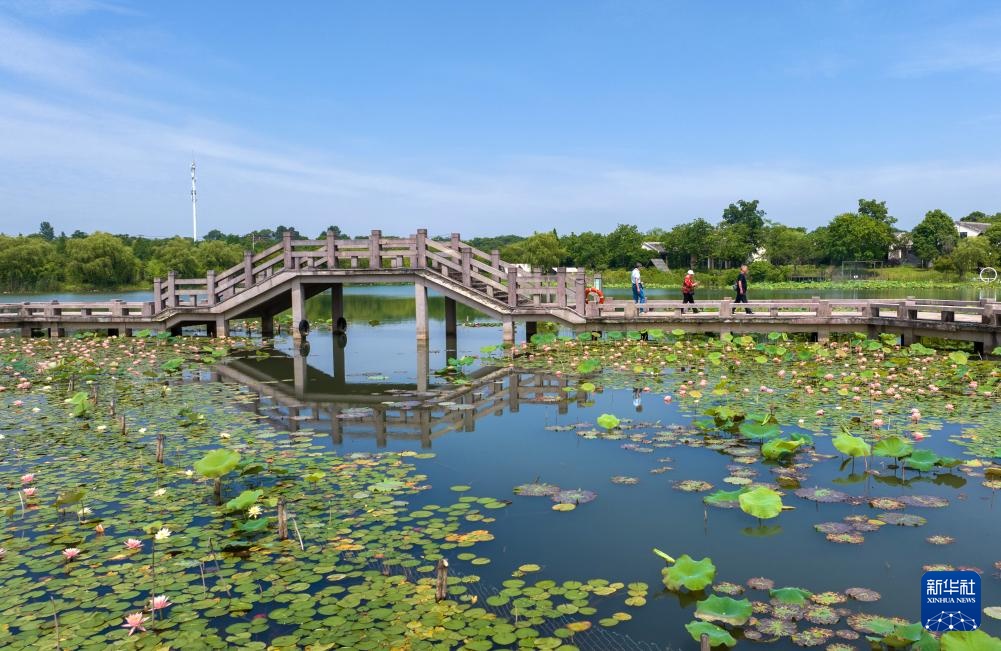 花“漾”夏日 花“漾”夏日