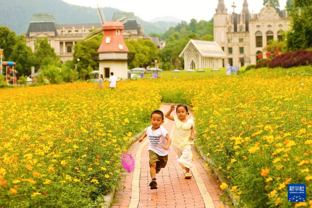 花“漾”夏日 花“漾”夏日