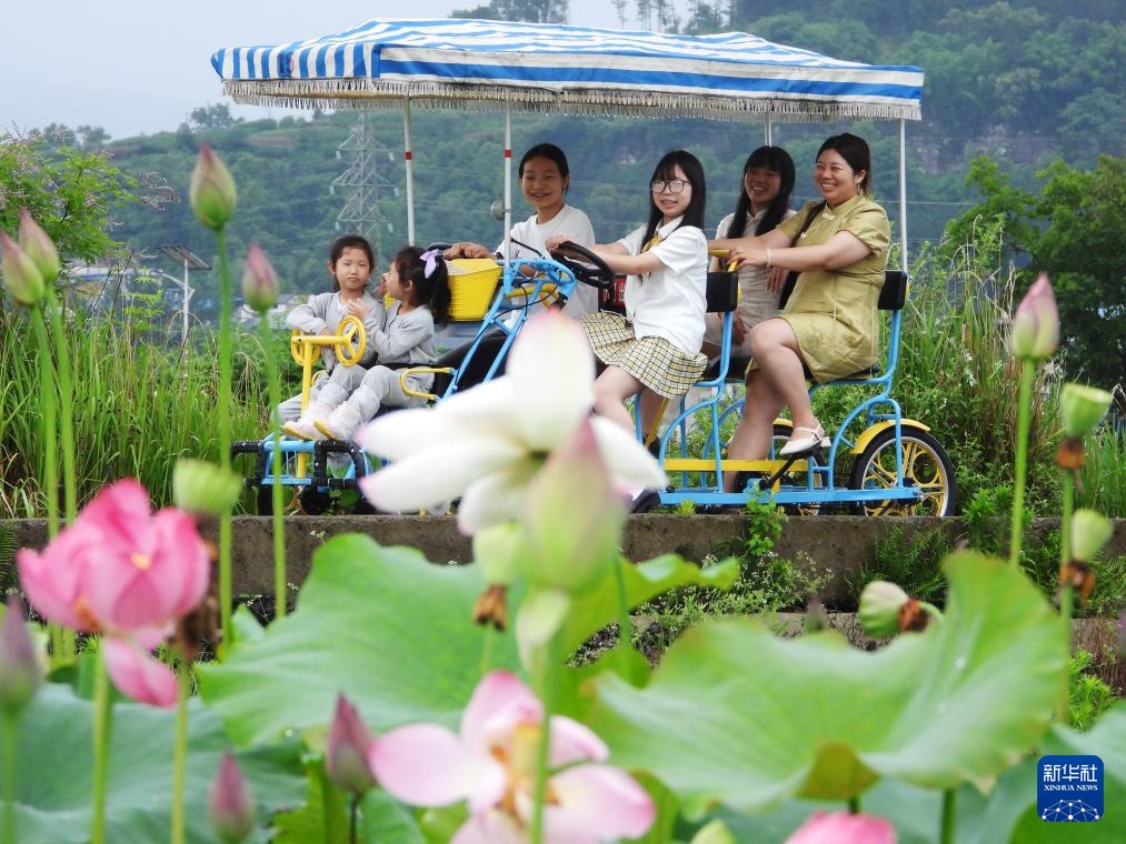 花“漾”夏日 花“漾”夏日