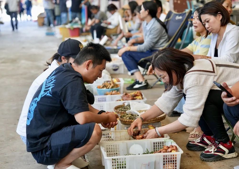 如何防范食用野生菌中毒? 如何防范食用野生菌中毒?