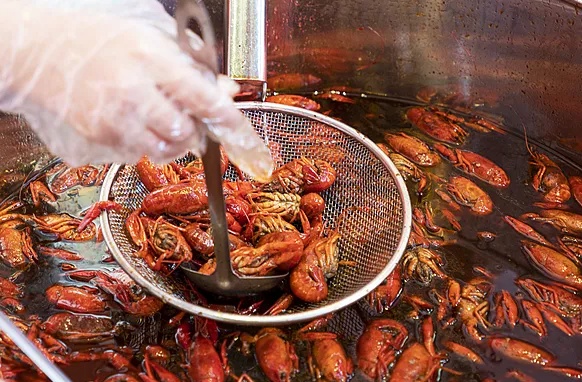 “夜宵顶流”价格大“跳水” “夜宵顶流”价格大“跳水”