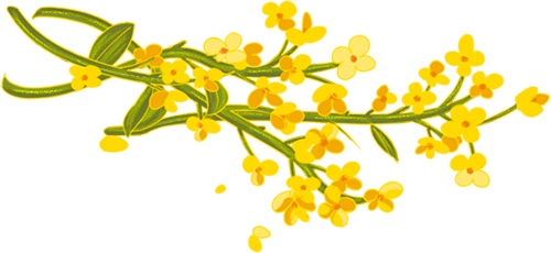 陶然亭街道聚焦失能老人照护，开展家庭照护者专业技能培训