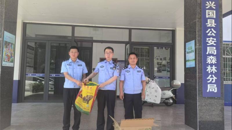 江西兴国联合救助放归一级保护动物穿山甲