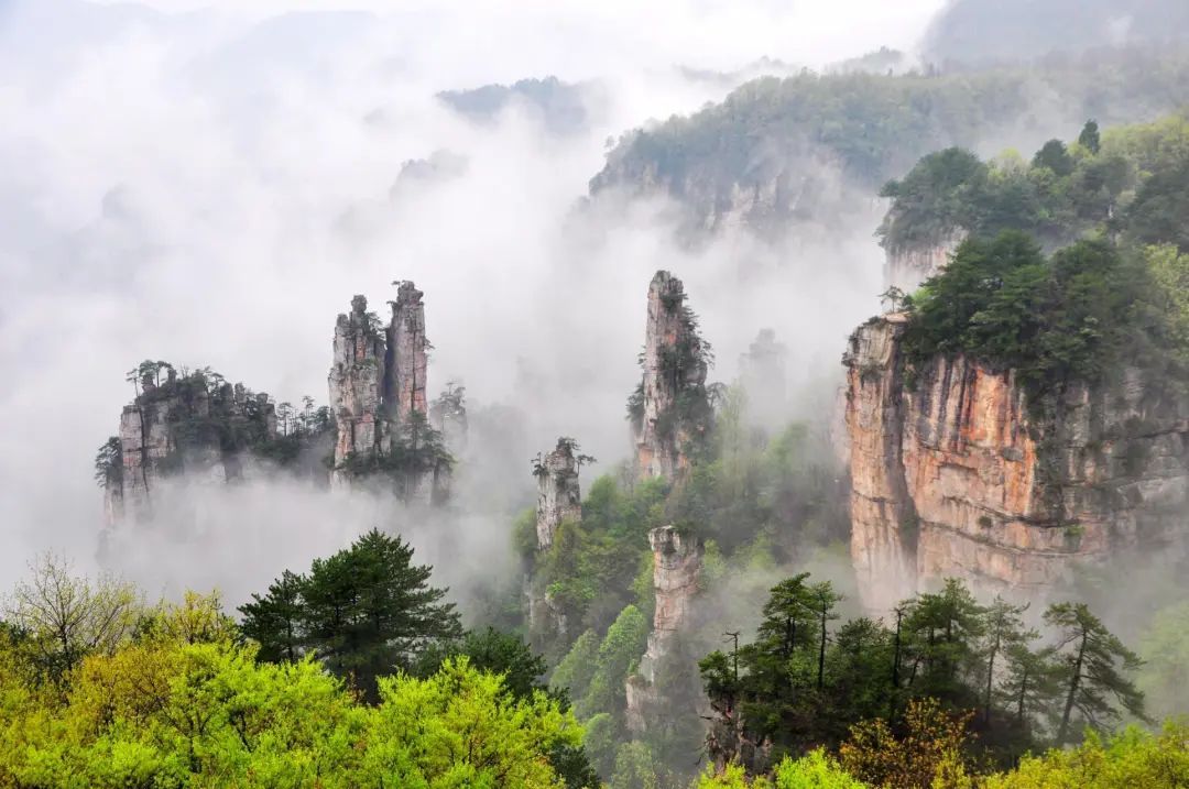 赵立坚微博为高考学子加油配图张家界！这些景区对学生常年半价，还有景区对高考生免费