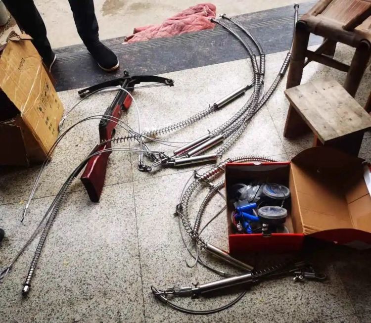 杭州首例!猎杀两只华南梅花鹿判刑又赔9.6万元 杭州首例!猎杀两只华南梅花鹿判刑又赔9.6万元