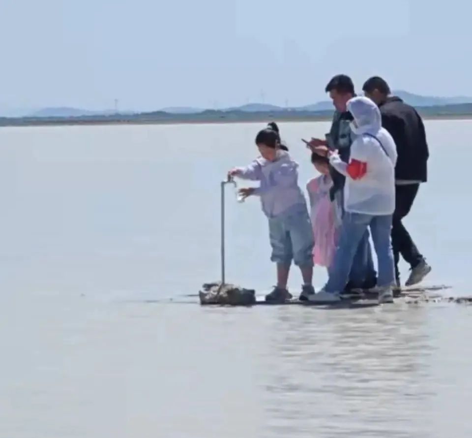 “牛奶湖”游客排队接奶？当地文旅局：是纯牛奶，可放心喝